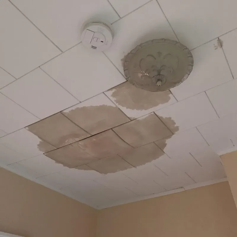 Ceiling Water Damage Repair in Lake Mohawk, NJ